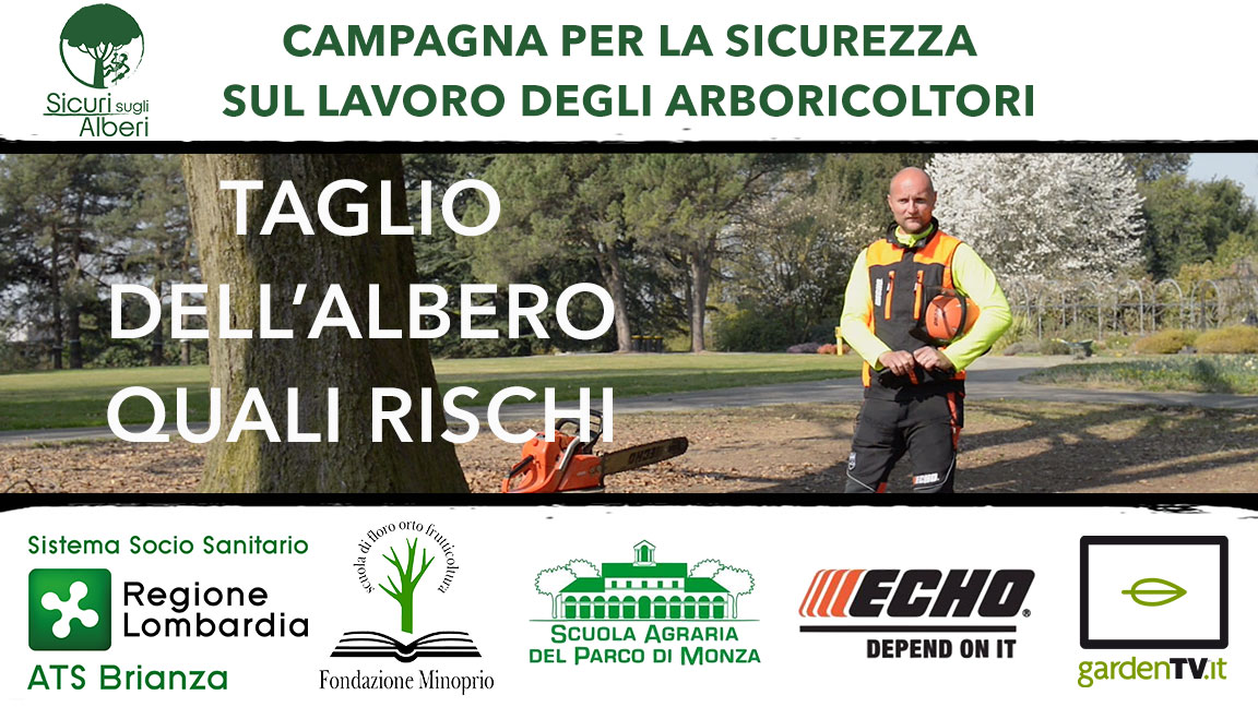 Taglio dellâ€™albero: indicazioni per la sicurezza
